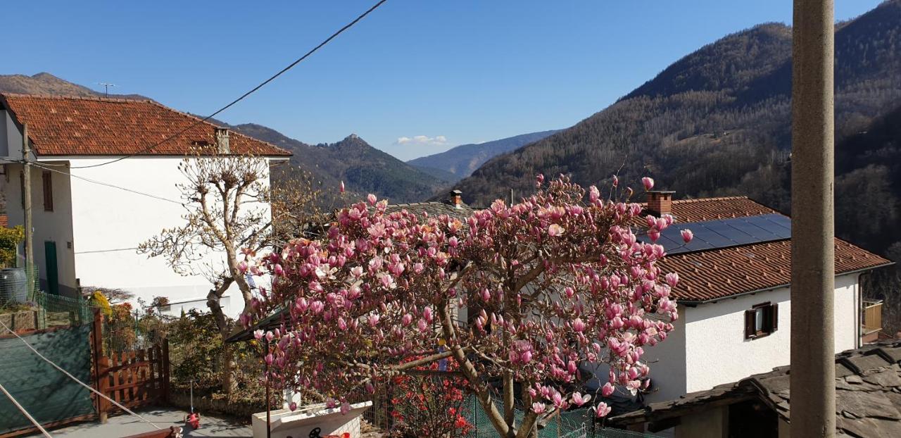 Apartamento Casa Le Rondini Mezzenile Exterior foto